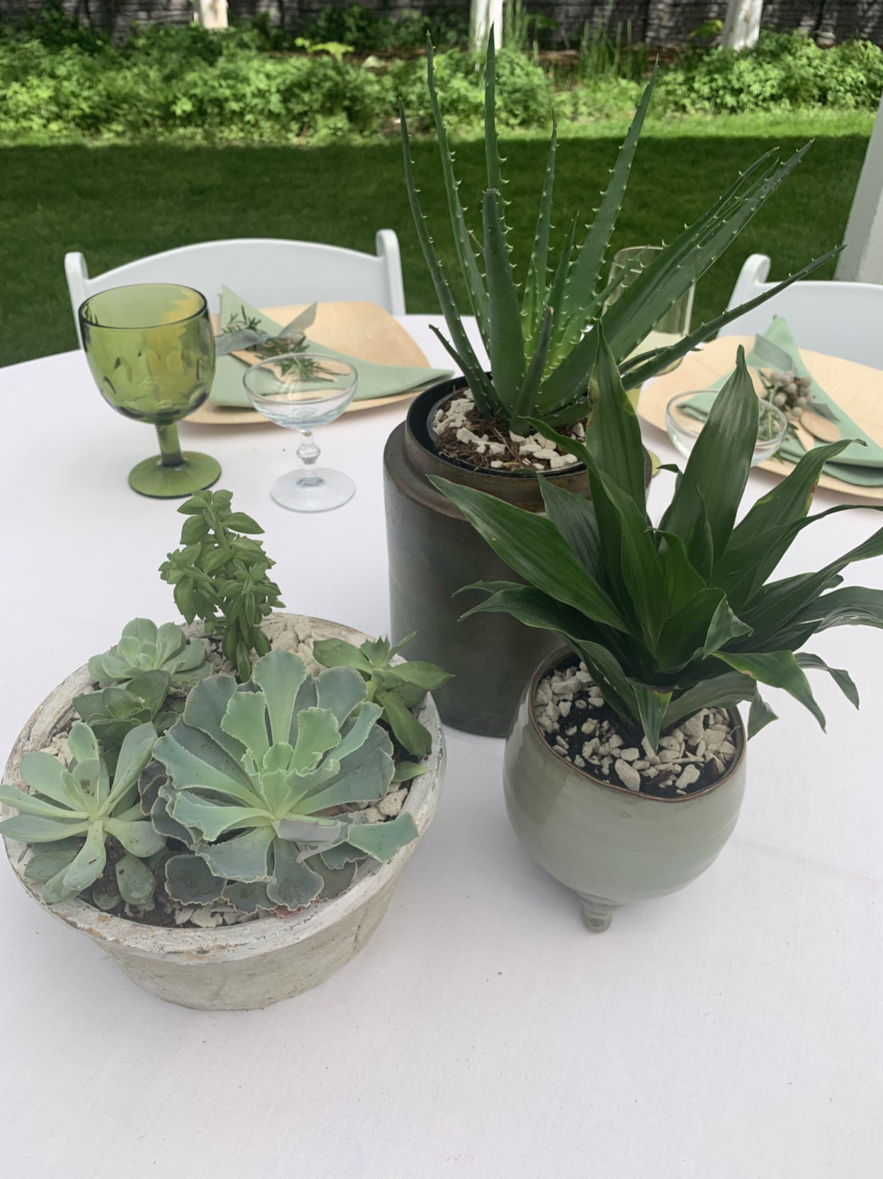 02 resized succulents.jpg